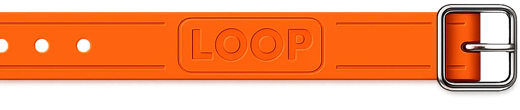 LOOP collar in Spark, the LOOP orange